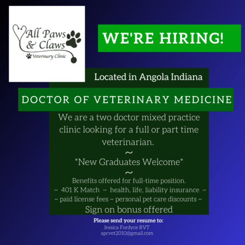 Job Opportunities - All Paws & Claws Veterinary Clinic